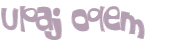 Captcha-Test