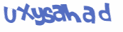 CAPTCHA 挑戰