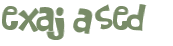CAPTCHA 挑戰