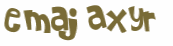 CAPTCHA 挑戰