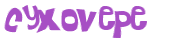 Captcha 챌린지
