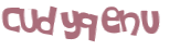CAPTCHA-haaste