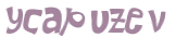 CAPTCHA 挑戰