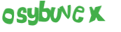 CAPTCHA 挑戰