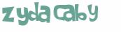 Wyzwanie captcha