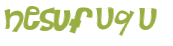 CAPTCHA 挑戰