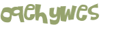 Captcha 챌린지