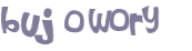 Wyzwanie captcha