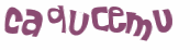 Desafio captcha
