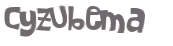 CAPTCHA 挑戰