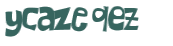 CAPTCHA 挑戰