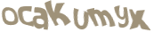 キャプチャ認証