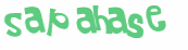 Desafio captcha