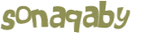 Captcha挑战