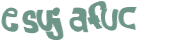 Desafio Captcha