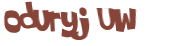 Wyzwanie captcha
