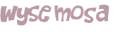 Wyzwanie captcha
