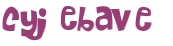 CAPTCHA 挑戰