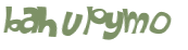 CAPTCHA 挑戰