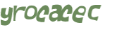 Captcha 챌린지
