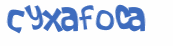 Wyzwanie captcha