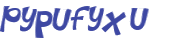 CAPTCHA 挑戰