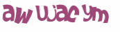 Wyzwanie captcha