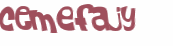 CAPTCHA 挑戰