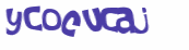 Wyzwanie captcha