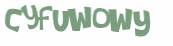 Wyzwanie captcha
