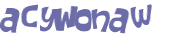 CAPTCHA 挑戰