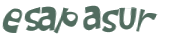 CAPTCHA 挑戰