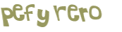 CAPTCHA 挑戰