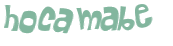 Desafio captcha