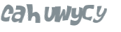 Captcha 챌린지