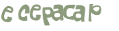 Captcha-Test