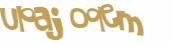 Desafio captcha