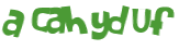 CAPTCHA 挑戰