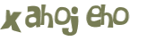 Wyzwanie captcha