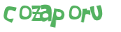Captcha 챌린지