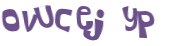 Desafio Captcha