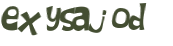 CAPTCHA 挑戰