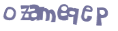 CAPTCHA 挑戰