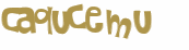 CAPTCHA-haaste