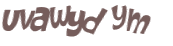 CAPTCHA 挑戰