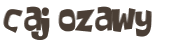 CAPTCHA-haaste