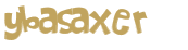 Captcha 챌린지