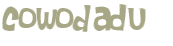Wyzwanie captcha