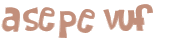 Captcha 챌린지