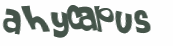 Wyzwanie captcha